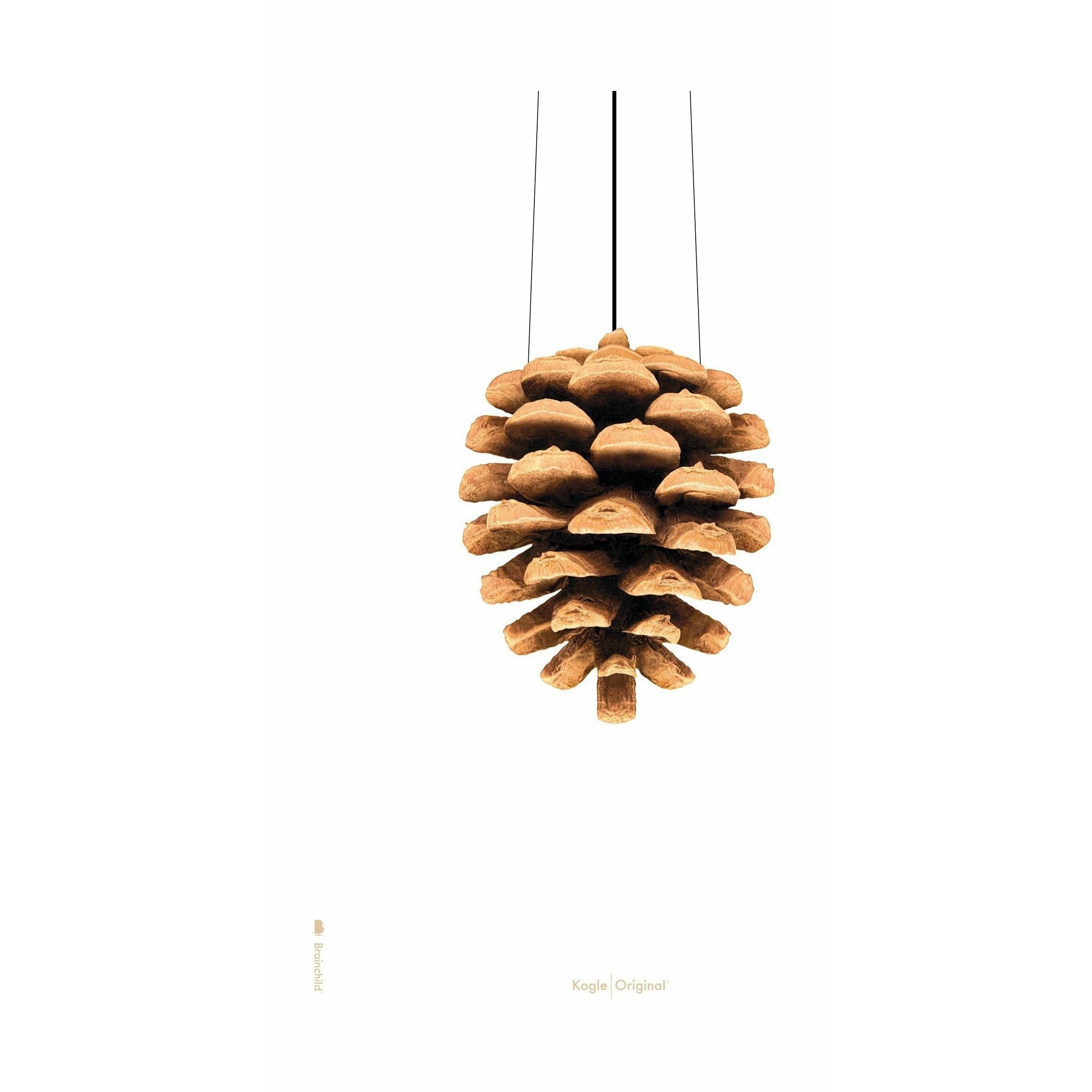 Brainchild Pine Cone Classic Poster ohne Rahmen A5, weißer Hintergrund
