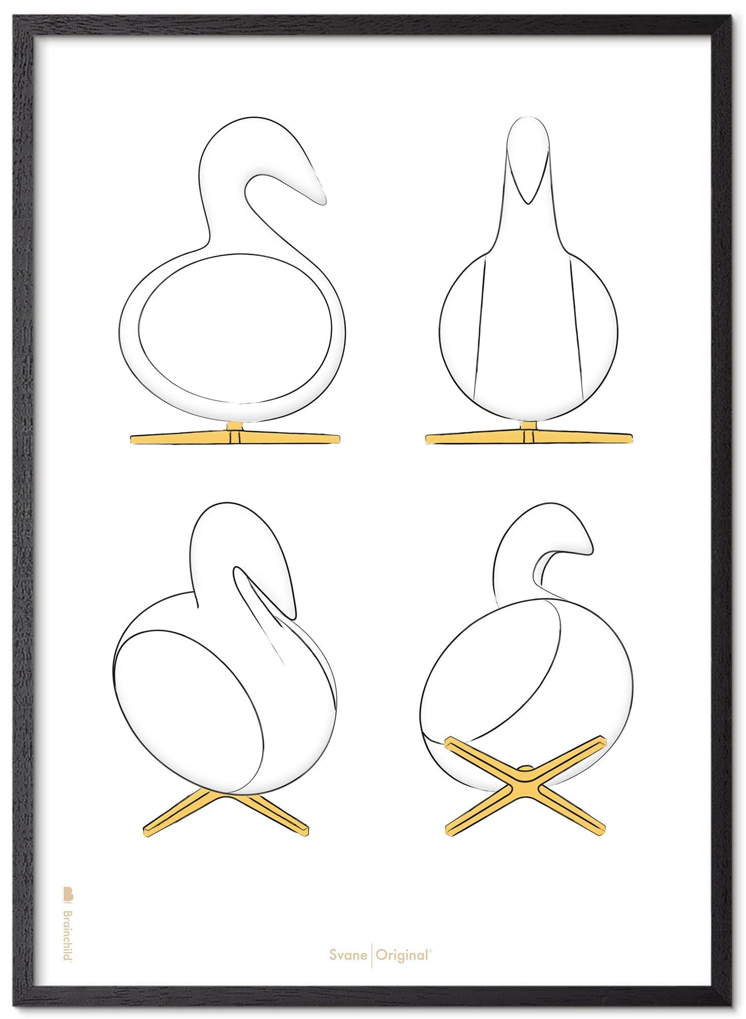 Brainchild Swan Design Schetsen Poster Frame Gemaakt Van Zwart Gelakt Hout 50x70 Cm, Witte Achtergrond